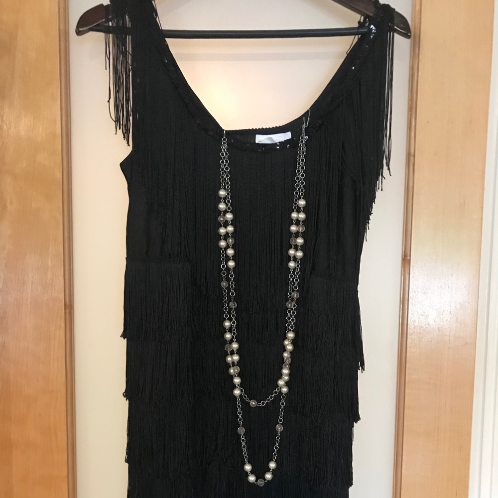Fringed Flapper Dress Costume